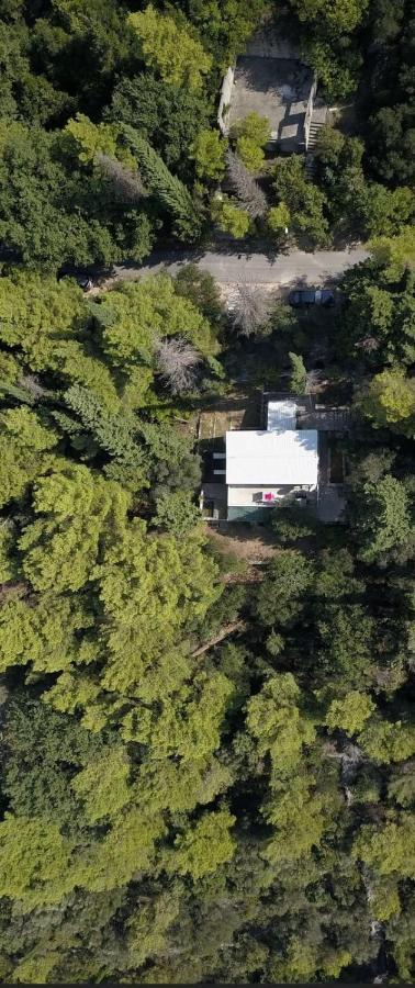 Apartmani Nena Slano Exterior foto